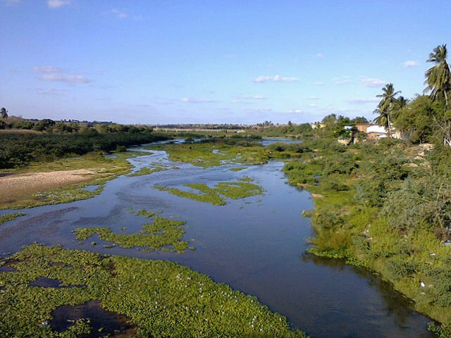 Fluvial